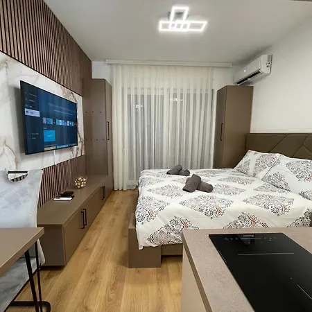 Apartment Vojinovic *