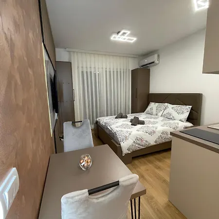 Apartment Vojinovic Vrnjacka Banja